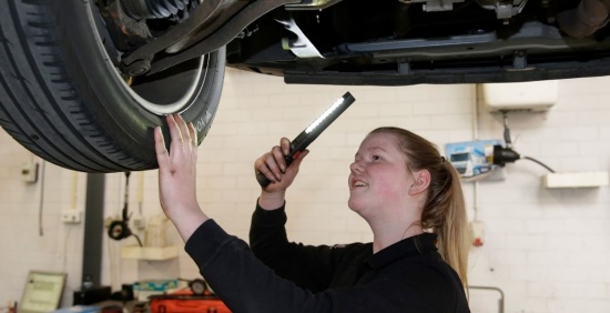 Waarom Autobedrijf Nederland? image 1
